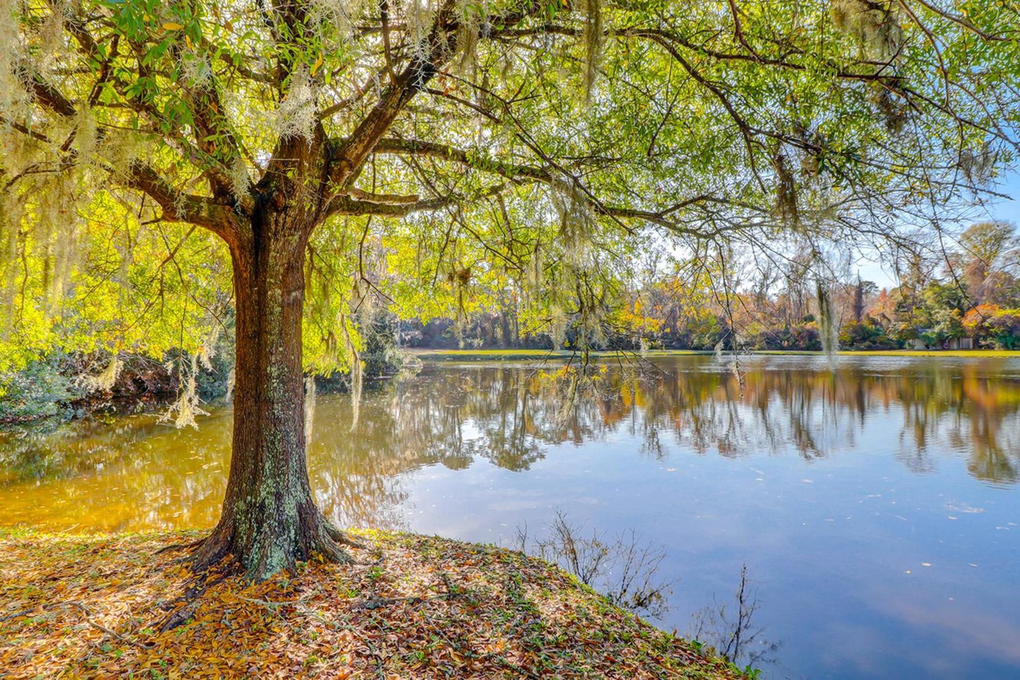 Appartamento Harbour Master 503 Hilton Head Island Esterno foto